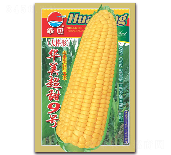 �A�������̖(h��o)-�����׷N��-�A�r(n��ng)�N�I(y��)