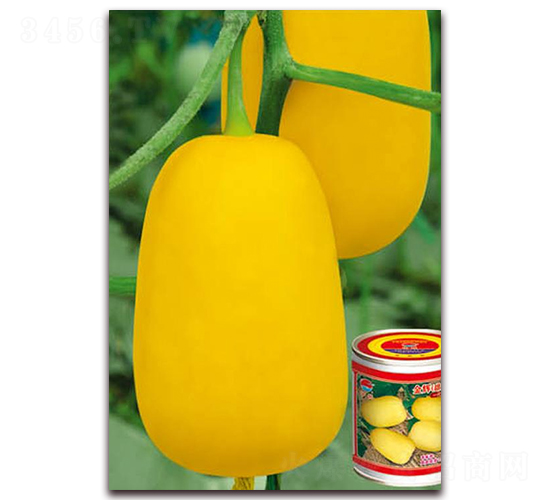 ���xF1-��ϷN��-�A�r(n��ng)�N�I(y��)