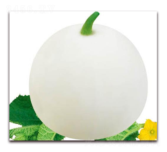 ��ɳ��F1-��ϷN��-�A�r(n��ng)�N�I(y��)