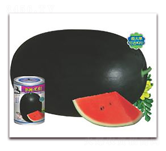 ���ޡ��ڱ�-���ϷN��-�A�r(n��ng)�N�I(y��)