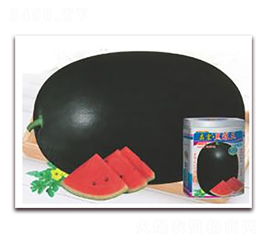 ����ڹ���-���ϷN��-�A�r(n��ng)�N�I(y��)