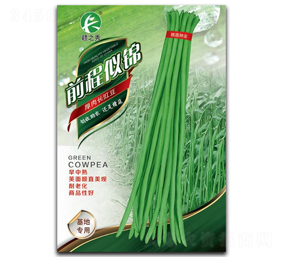 ǰ�����\-�����N��-�M�߷N�I(y��)