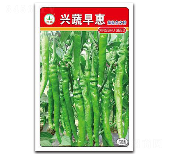 �d�����-�����N��-�d�߷N�I(y��)