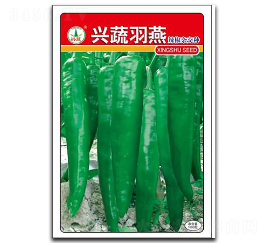 �d������-�����N��-�d�߷N�I(y��)