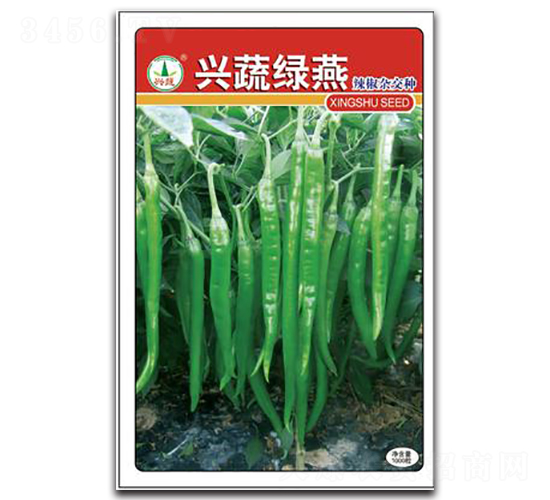 �d�߾G��-�����N��-�d�߷N�I(y��)