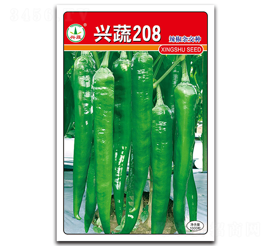 �d��208-�����N��-�d�߷N�I(y��)