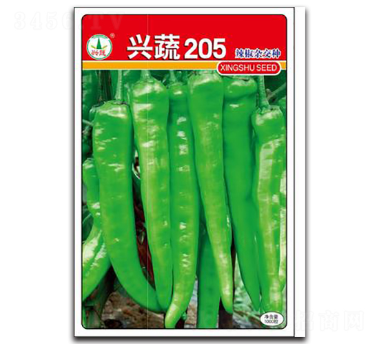 �d��205-�����N��-�d�߷N�I(y��)