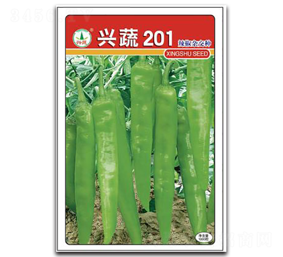 �d��201-�����N��-�d�߷N�I(y��)