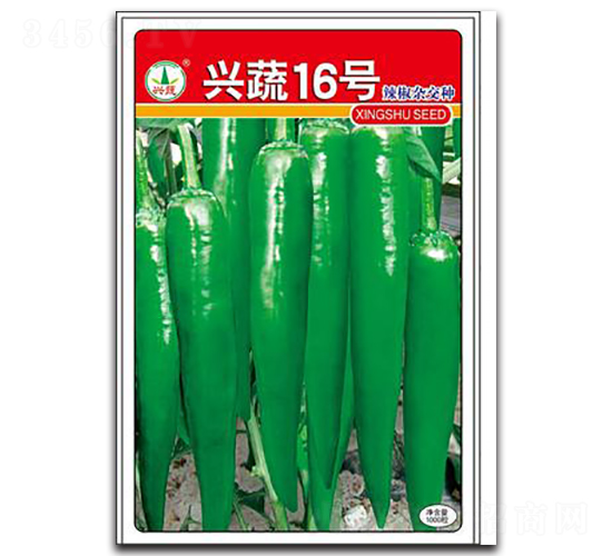 �d��16̖-�����N��-�d�߷N�I(y��)