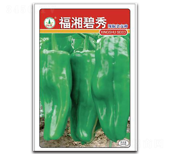 ч�����-�����N��-�d�߷N�I(y��)