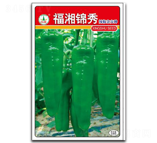 �����\��-�����N��-�d�߷N�I(y��)