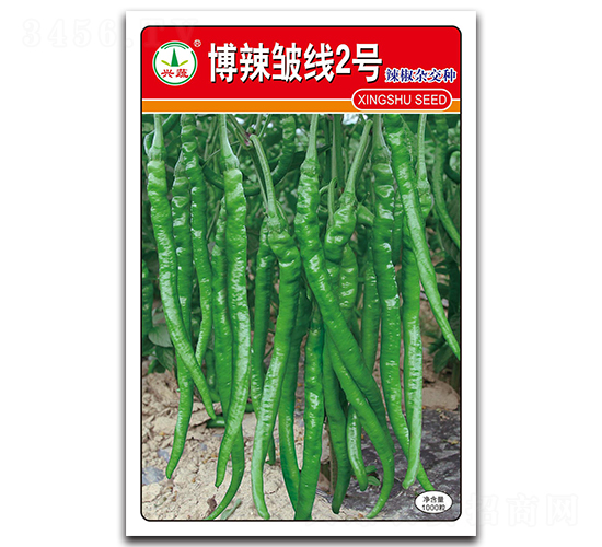 ��������2̖-�����N��-�d�߷N�I(y��)