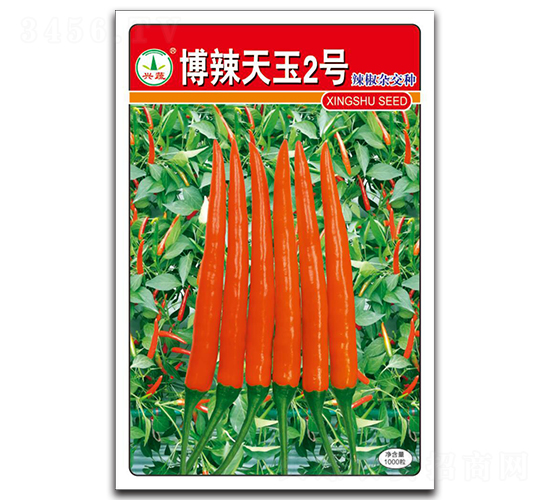 ��������2̖-�����N��-�d�߷N�I(y��)