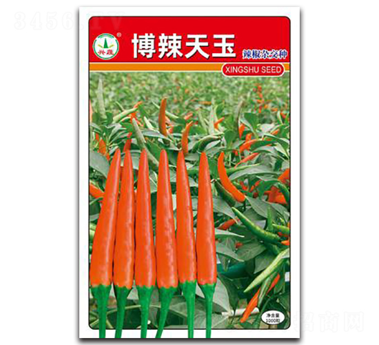 ��������-�����N��-�d�߷N�I(y��)