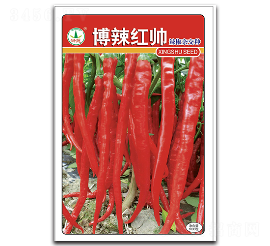 �����t��-�����N��-�d�߷N�I(y��)