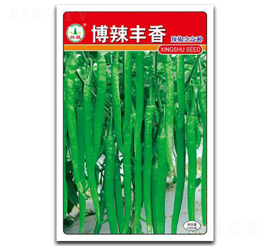 �����S��-�����N��-�d�߷N�I(y��)