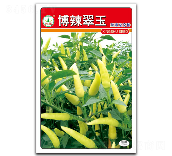 ��������-�����N��-�d�߷N�I(y��)