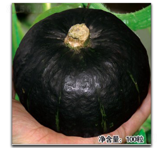 ��С��-�ϹϷN��-�մ��r(n��ng)�I(y��)