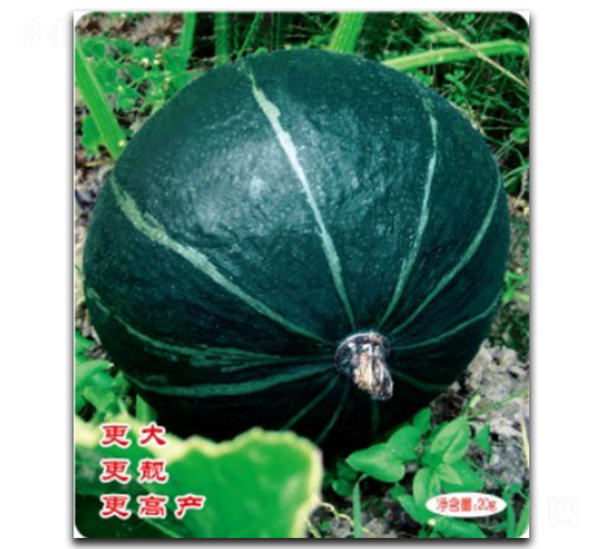 �ڝM�@-�ϹϷN��-�մ��r(n��ng)�I(y��)