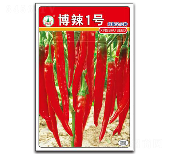 ����1̖-�����N��-�d�߷N�I(y��)