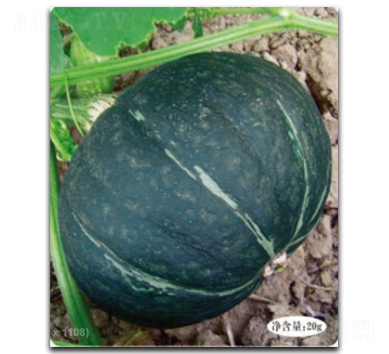 ������-�ϹϷN��-�մ��r(n��ng)�I(y��)