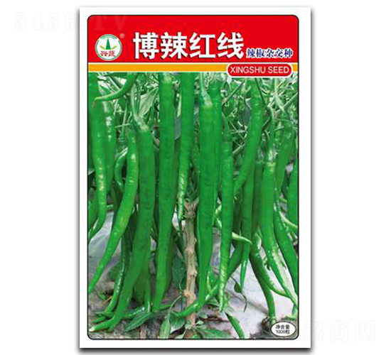 �����t��-�����N��-�d�߷N�I(y��)