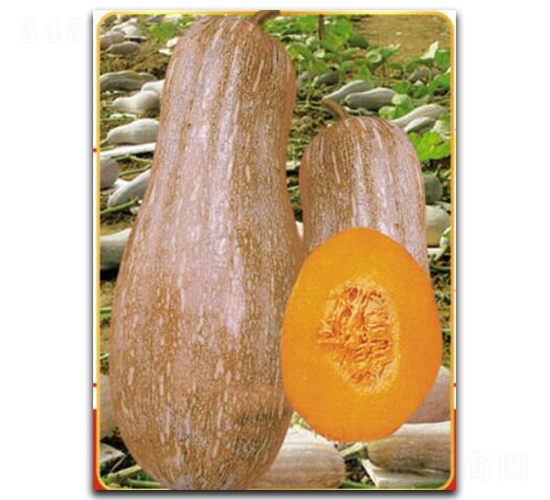 ����ܱ�-�ϹϷN��-�մ��r(n��ng)�I(y��)