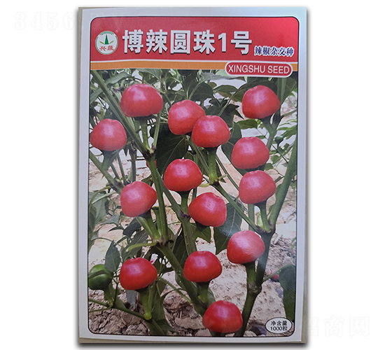 �����A��1̖-�����N��-�d�߷N�I(y��)