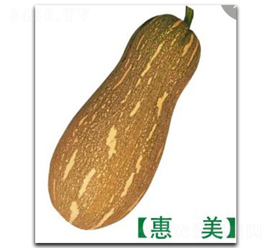 �����Ϲ�-�ϹϷN��-�մ��r�I(y��)