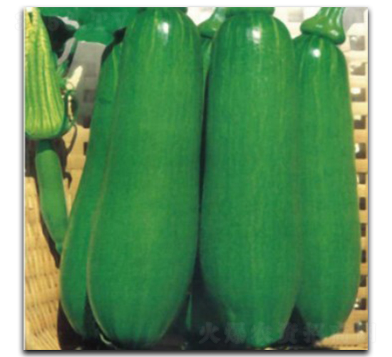 ��ζ�Ϲ�-�ϹϷN��-�մ��r(n��ng)�I(y��)