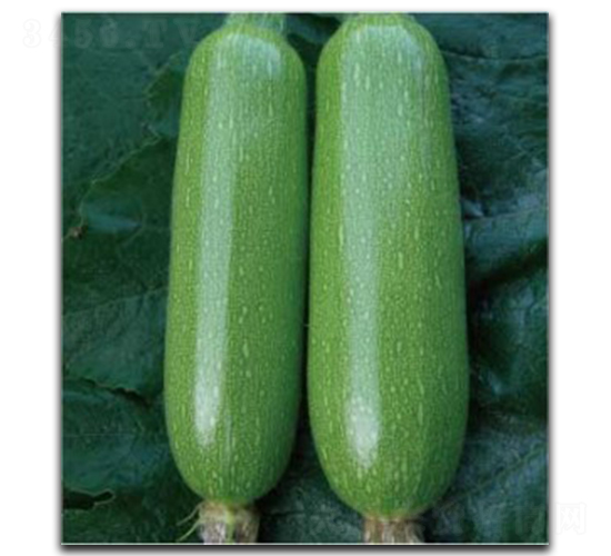 ������̖(h��o)-�����J�N��-�մ��r(n��ng)�I(y��)