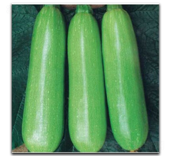 ��������-�����J�N��-�մ��r(n��ng)�I(y��)