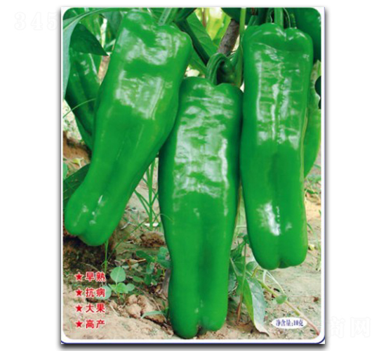 �����ޟo��-�����N��-�մ��r(n��ng)�I(y��)