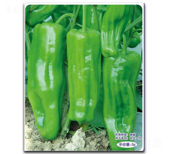 ����������-�����N��-�մ��r(n��ng)�I(y��)