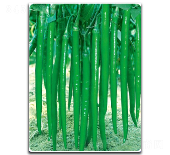 ���L������30̖(h��o)-�����N��-�մ��r(n��ng)�I(y��)