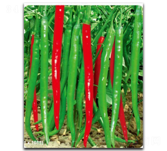 ����(y��u)��̖-�����N��-�մ��r(n��ng)�I(y��)