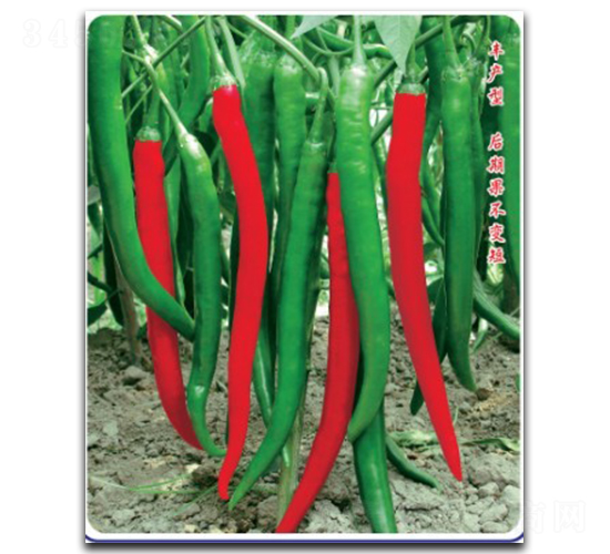 ����(y��u)��̖(h��o)-�����N��-�մ��r(n��ng)�I(y��)