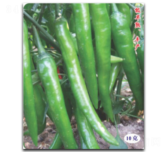 ���S11̖-�����N��-�մ��r(n��ng)�I(y��)