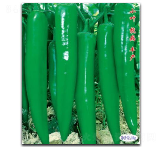 ���S168-�����N��-�մ��r(n��ng)�I(y��)