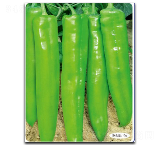 �������S-�����N��-�մ��r(n��ng)�I(y��)