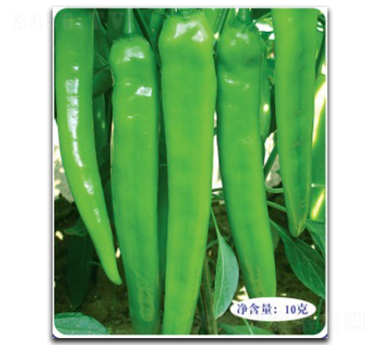 ����101-�����N��-�մ��r(n��ng)�I(y��)