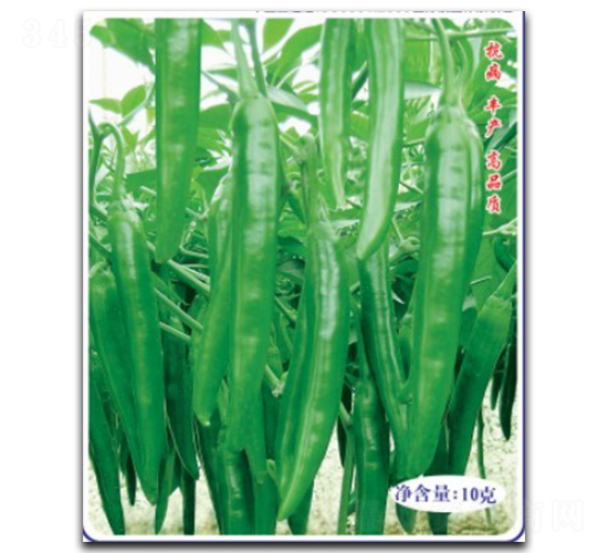 �߮a(ch��n)������̖(h��o)-�����N��-�մ��r(n��ng)�I(y��)