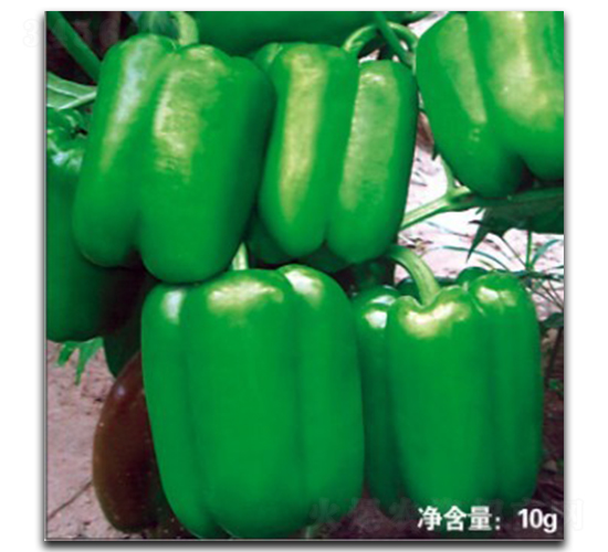 ��������-�����N��-�մ��r(n��ng)�I(y��)