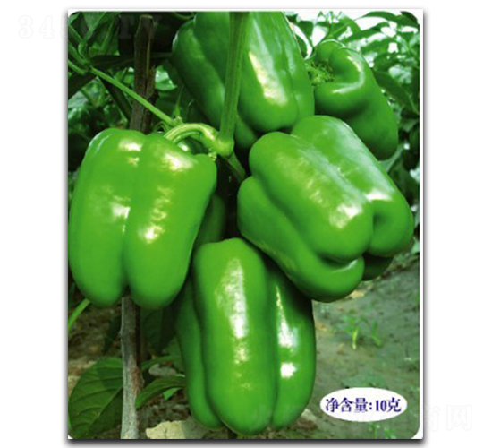 ���غ�-�����N��-�մ��r(n��ng)�I(y��)