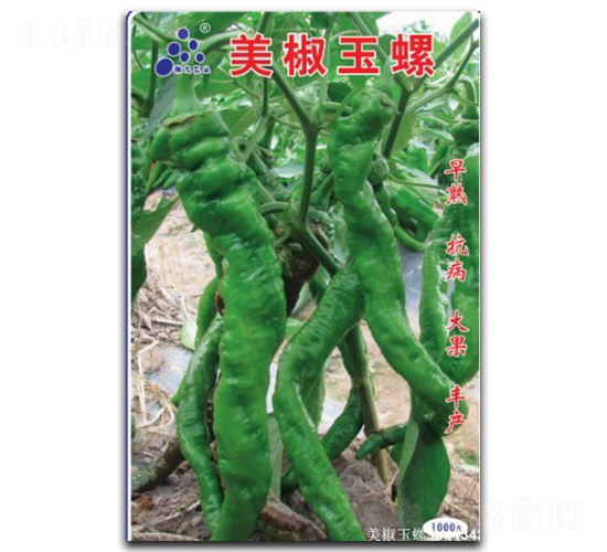 ��������-�����N��-�մ��r(n��ng)�I(y��)