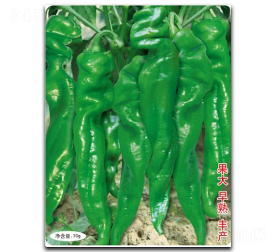 ��������-�����N��-�մ��r(n��ng)�I(y��)