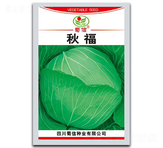 �︣-���˷N��-���ŷN�I(y��)