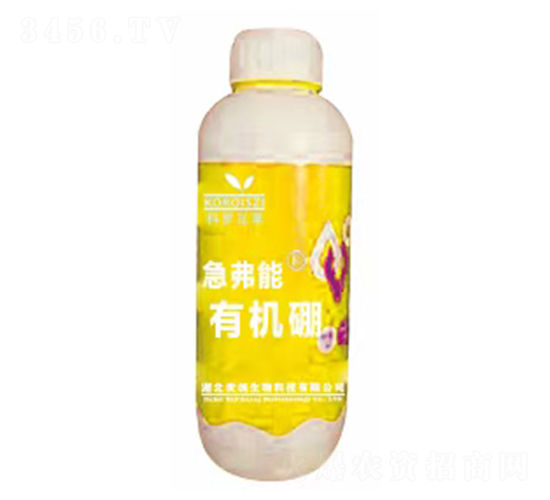 �ЙC��-������-����(chu��ng)����