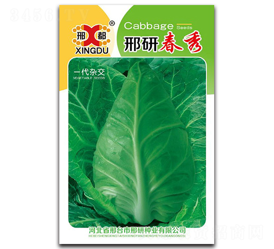 ���д���-���{�N��-���зN�I(y��)