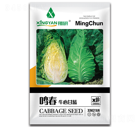 �Q��-���{(l��n)�N��-���зN�I(y��)